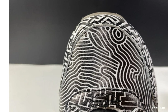 Tokyo Max Air 1 Nike Maze CI1505-001 0302